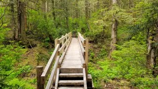 Forks, Twilight