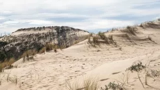 Ford trip, Duna du Pyla