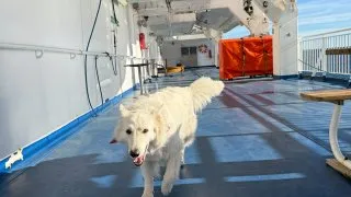 Fotr ve Finsku, trajekt