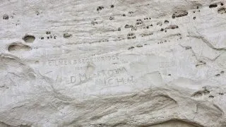 Gallup
