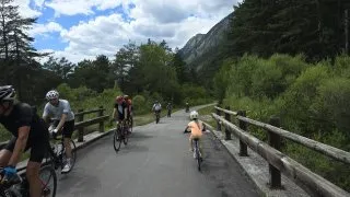 Inline Alpe Adria