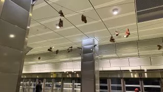 Fotr na tripu 9, Stockholm