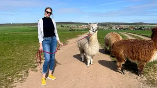 Zašli jsme si na procházku s alpakami. Statek U Merlina toho nabídne ale mnohem více