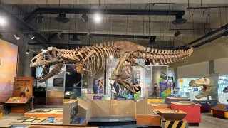 Fotr na tripu 10, dinosauři