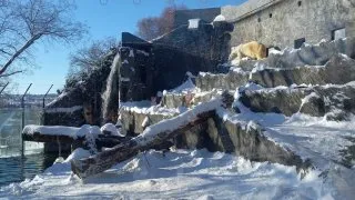 Zoo Praha