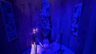 Fotr na tripu 11, Bruggy na talíři