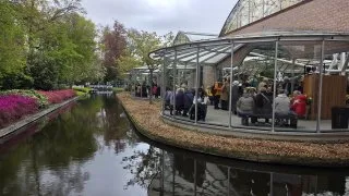 Keukenhof