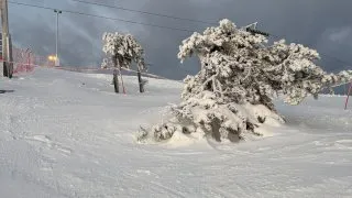 Fotr za polárním kruhem