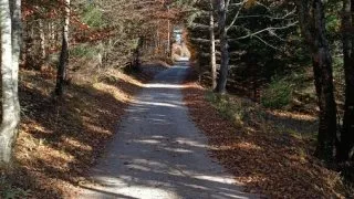 Hohe Wand
