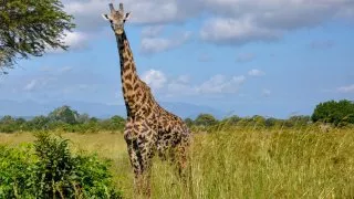 Safari v srdci Afriky