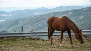 Dacia Bigster, trip Itálie, Bruncu Spina