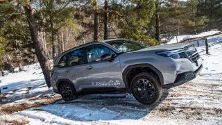 Subaru Forester 2025, první dojmy