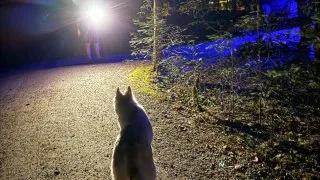 Fotr na tripu 10, kempování v Kanadě