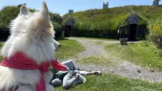 Fotr na tripu 10, vikingové