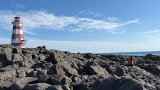 Fotr na tripu 10, velryby