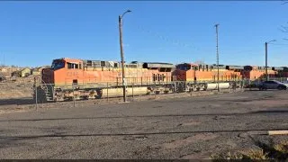 Gallup