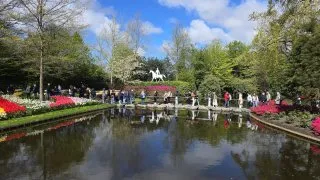 Keukenhof