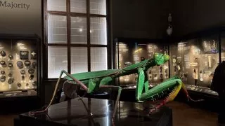 Národní muzeum Praha