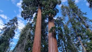 Kalifornský národní park Sequoia