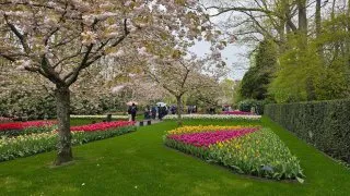 Keukenhof