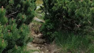 Chopok, Slovensko