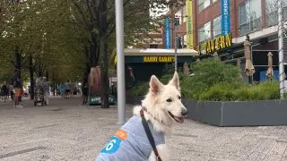 Fotr na tripu 12, auta