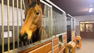 Fotr na tripu 11, Slovensko