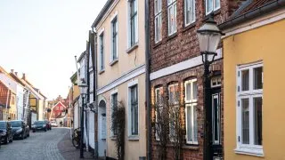 Subaru trip Dánsko, Romo, Mando