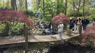 Keukenhof
