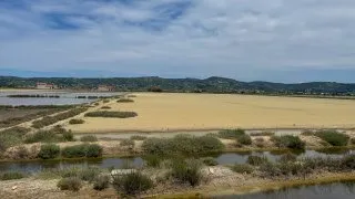 Slovinsko Trip - Sečoveljské solné panve