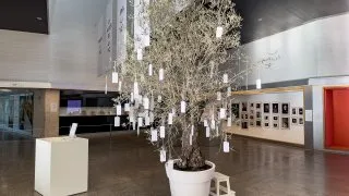 Trip Španělsko 2026, Leon, MUSAC a věda