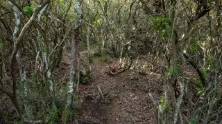 Dacia Bigster, trip Itálie, Cagliari