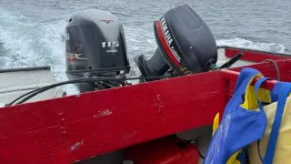 Fotr na tripu 10, velryby