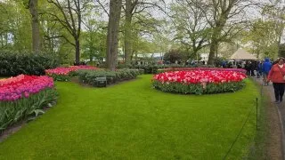 Keukenhof