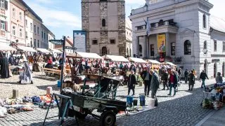 Trip Chorvatsko 2026, Ptuj
