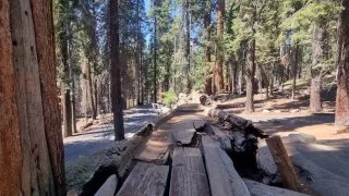 Kalifornský národní park Sequoia