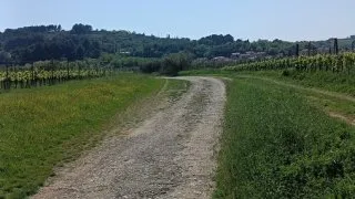 Parenzana III