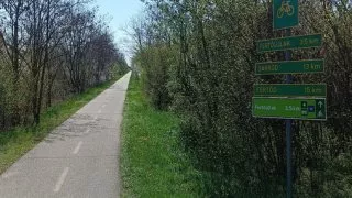 Neusiedler See