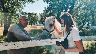 Slovinsko trip - hřebčín Lipica