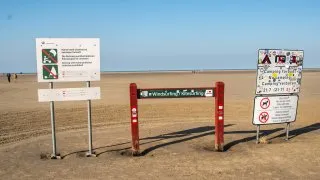 Subaru trip Dánsko, Romo, Mando