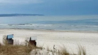 Fotr na tripu 9, Rujána