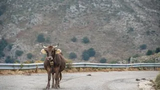 Dacia Bigster, trip Itálie, Bruncu Spina