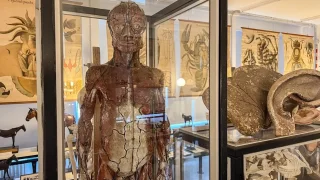 Muzeum divností, Gaudí a nejkrásnější katedrála Španělska. León je výborná náhrada za Barcelonu