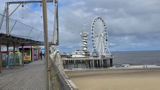 Haag