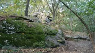 Balaton na gravelu