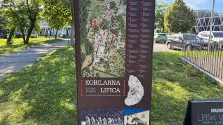 Slovinsko trip - hřebčín Lipica