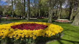 Keukenhof