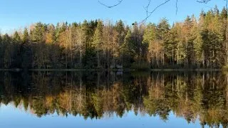 Fotr ve Finsku, gastronomie