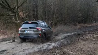 Subaru trip, Baťa, Zástřizly