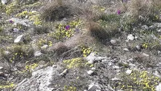 Česko, jižní Morava